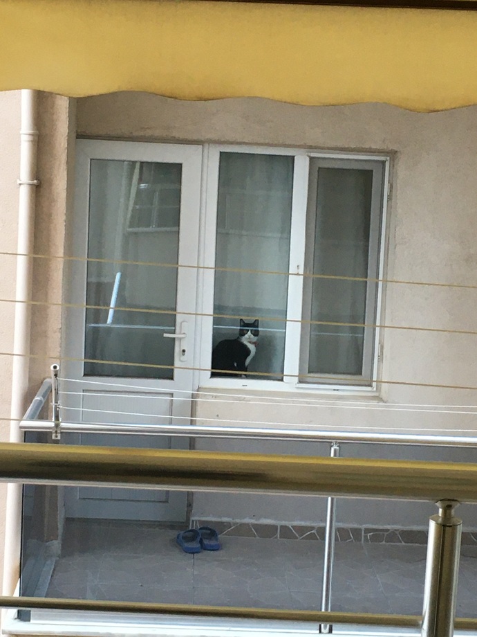 Hiç komşunuzu dikizlediğiniz oldu mu?