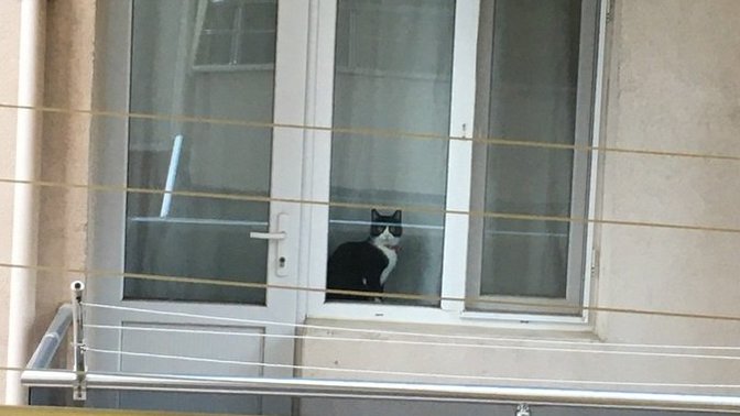 Hiç komşunuzu dikizlediğiniz oldu mu?