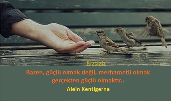 Merhametli olmak, mükemmel olmaktan çok daha iyidir...👌✌
