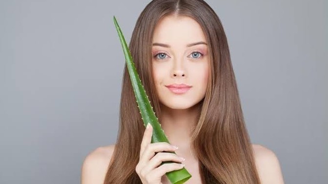 Saçlarınıza hiç aloe vera jeli sürdünüz mü, sonuç nasıl?