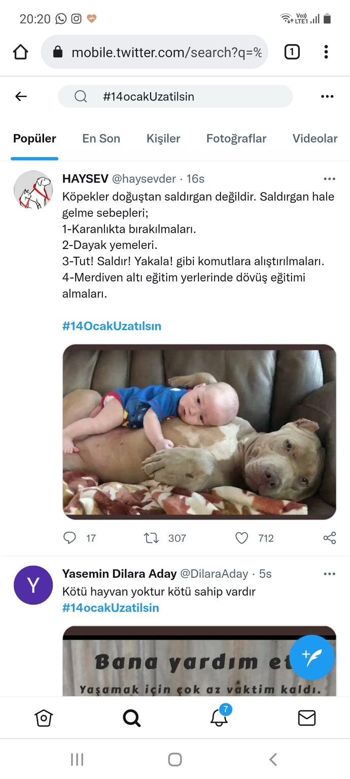 #14OcakUzatılsın 4 ayaklı canlarımızın son saatleri onlara destek olmaya sahiplenmeye kısırlaştırılmasına destek olmaya ne dersin?