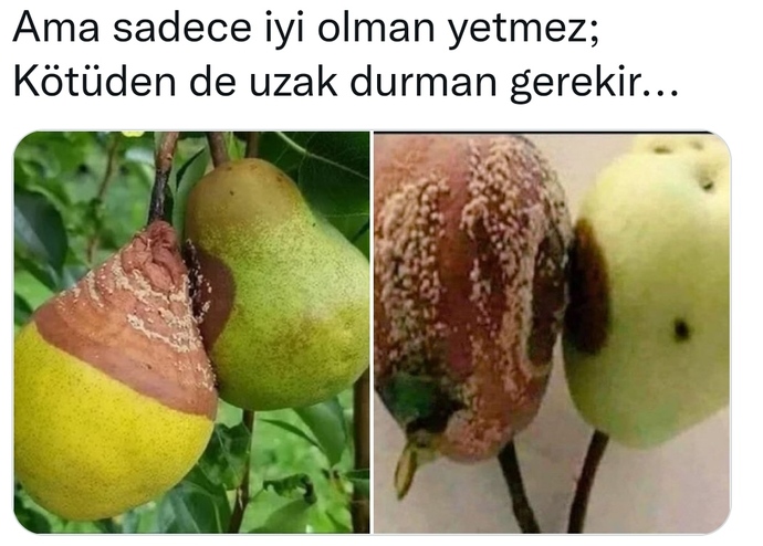 Bazı arkadaş ortamları insanı bozar mı?