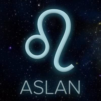 Aslan burcu erkeği zor kadından mı hoşlanır, kendisiyle ilgilenen kadından mı?