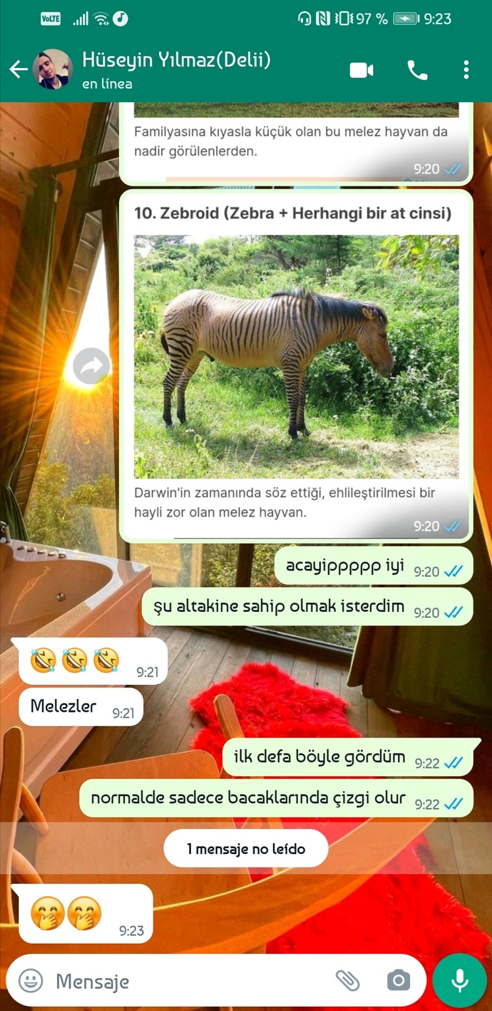 İlgi alanlarınız neler?