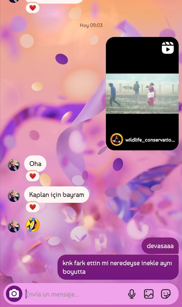 İlgi alanlarınız neler?
