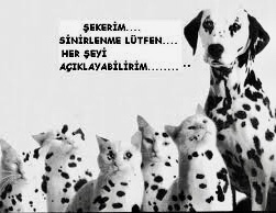 Aldatmanın/ihanetin mazereti olur mu?