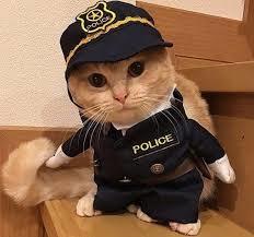 Polisin sana "bak buraya çocuk adam" dediği an oldu mu? Olduysa ne?
