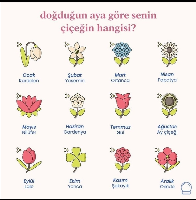 Doğduğun aya göre sen hangi çiçeksin 🌸?