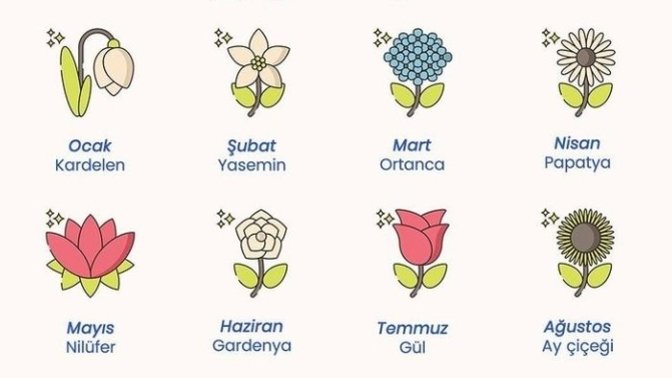 Doğduğun aya göre sen hangi çiçeksin 🌸?