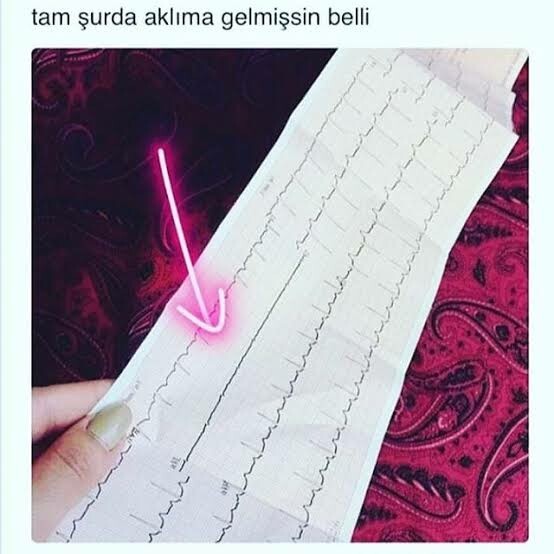 Sevgililer günü sizin için ne anlam ifade ediyor, kutlar mısınız?