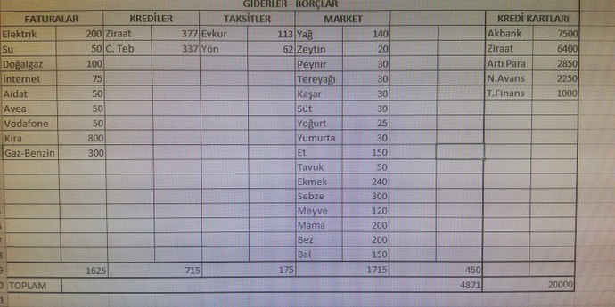 Aylık mutfak ve yemek alışverişiniz ne kadar tutuyor?