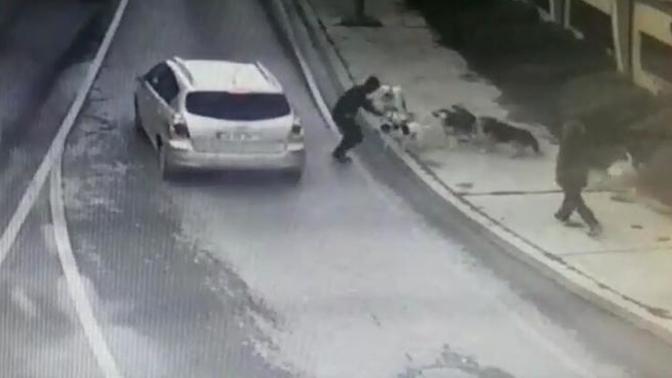 Bakırköy'de yürüyen adama 6 köpeğin saldırması hakkında ne düşünüyorsunuz?