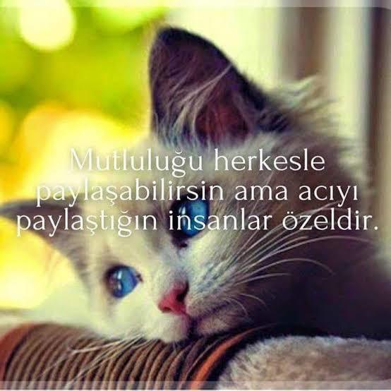 Mutluluğu herkesle paylaşabilirsin ama acıyı paylaştığın insanlar özeldir. 