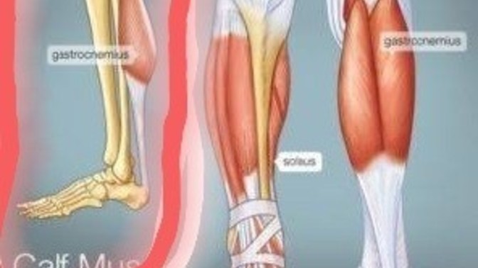 Spor sonrası bacak ağrısı nasıl geçer?