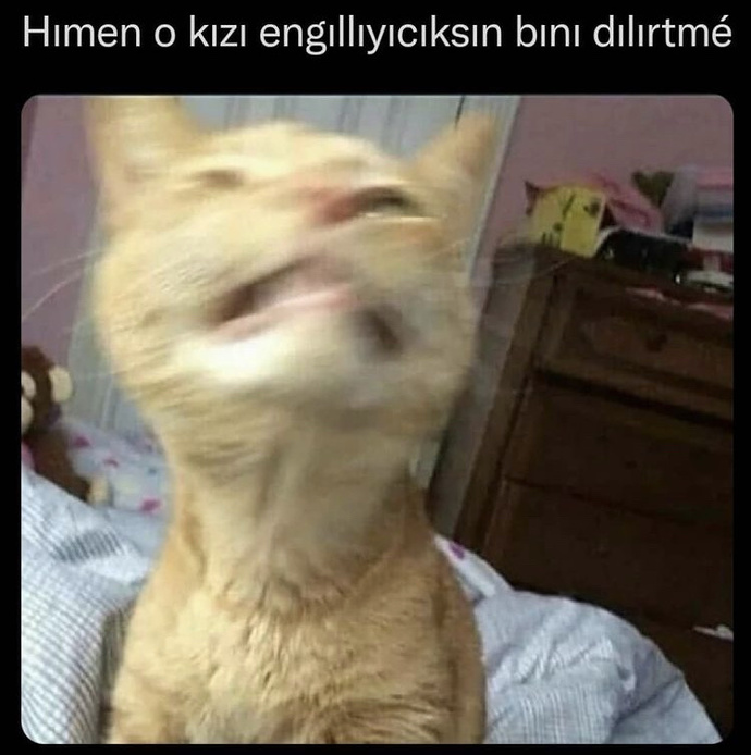 Hoşlandığınız kişinin sizi kıskanması hoşunuza gider mi?
