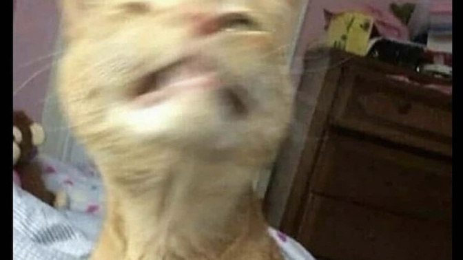 Hoşlandığınız kişinin sizi kıskanması hoşunuza gider mi?