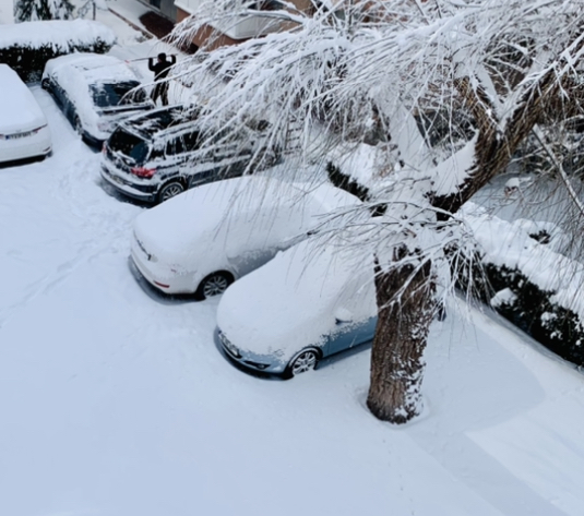❄️ ⛄️ 🥶