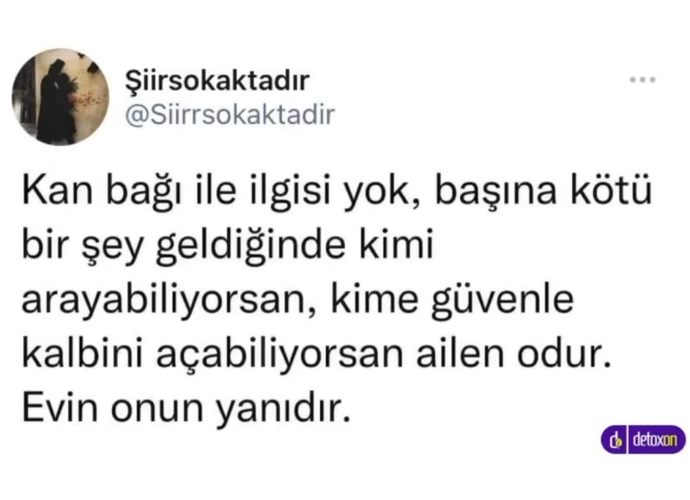 Senin ailen kimdir?