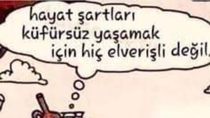 Günlük hayatınızda küfür kullanıır mısınız, kullananlardan rahatsız olur musunuz?
