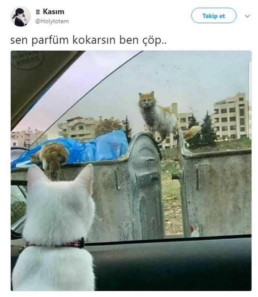 Hayvan besiciliği yapan erkek arkadaşım çok tezek kokar mı?