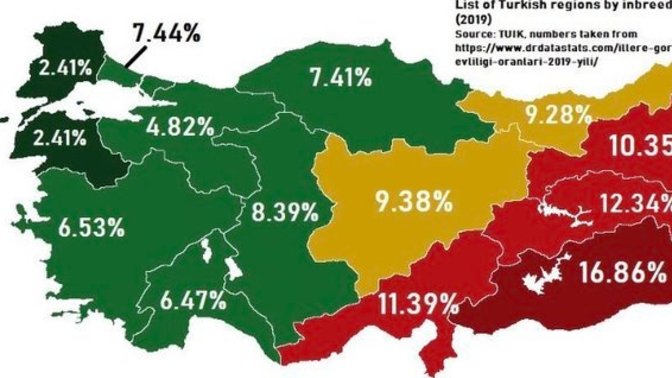 Kuzen ile evliliğe bakış açın nedir?