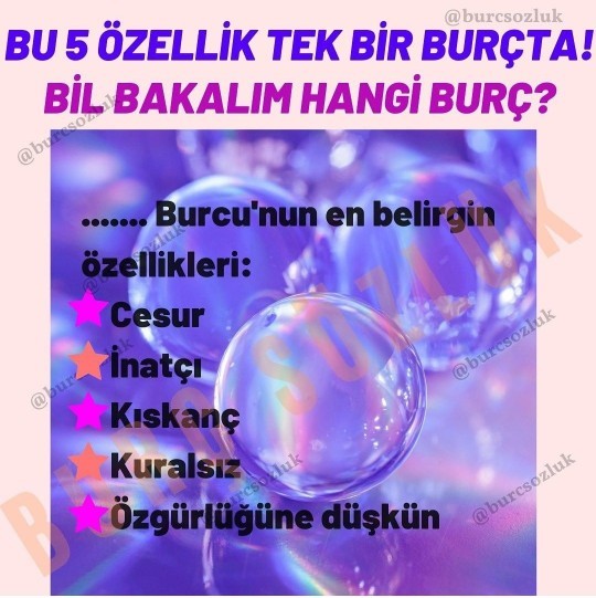 Bu 5 özelliklere sahip tek bir burç var sence hangi burç?
