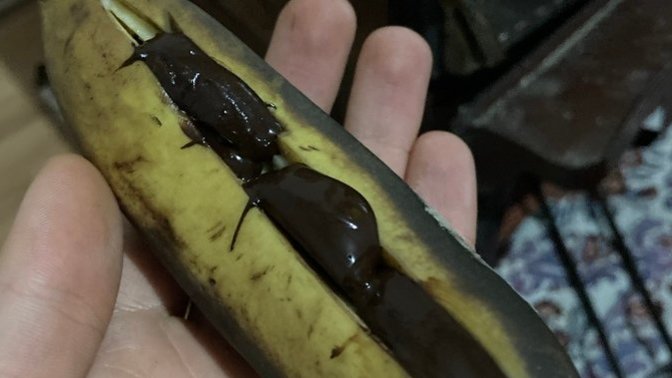 Közde muz sever misiniz?