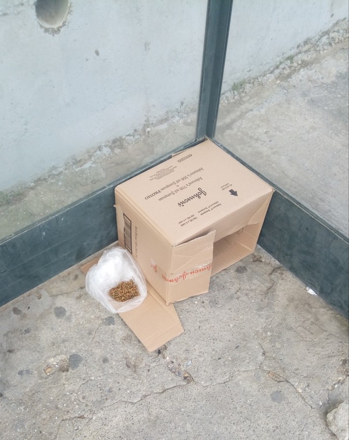 Bu soğuk havalarda can dostlarımız için neler yapabiliriz?