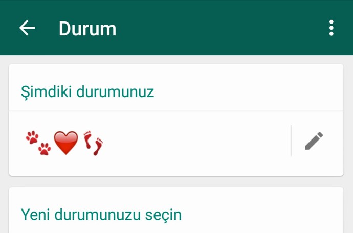 Whatsapp hakkında kısmınızda ne yazıyor?