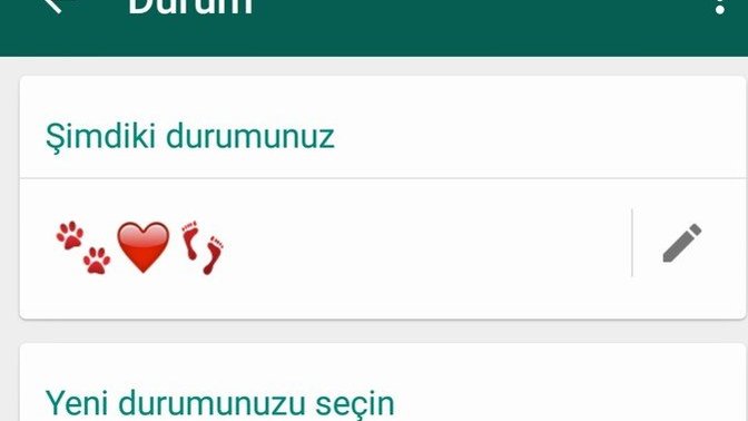 Whatsapp hakkında kısmınızda ne yazıyor?