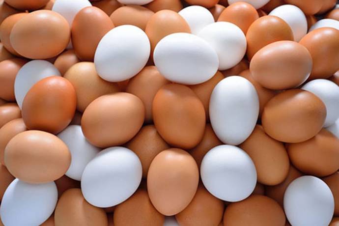 Kahverengi ve beyaz yumurta arasındaki fark nedir?