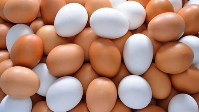 Kahverengi ve beyaz yumurta arasındaki fark nedir?