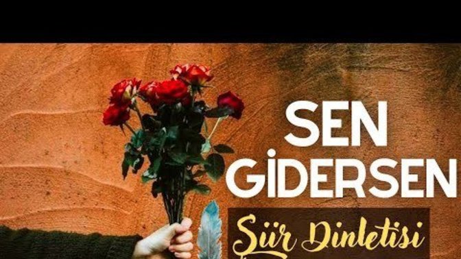 Hayatınızda ' sen gidersen ' canım gider dediğiniz biri var mı?