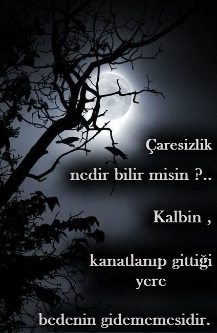 Birinin önceliği olmak size nasıl hissettirir?