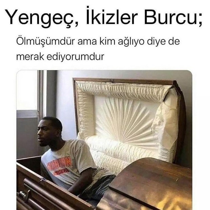 En meraklı burç İkizler mi?