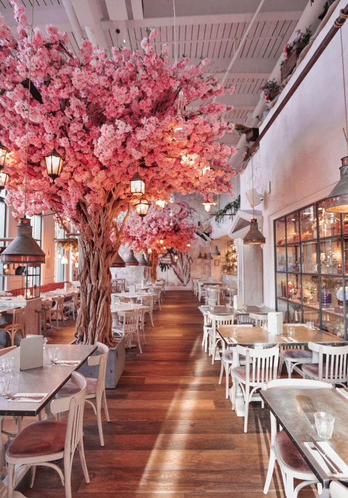 Hangi restoranlara gitmekten keyif alıyor sunuz?