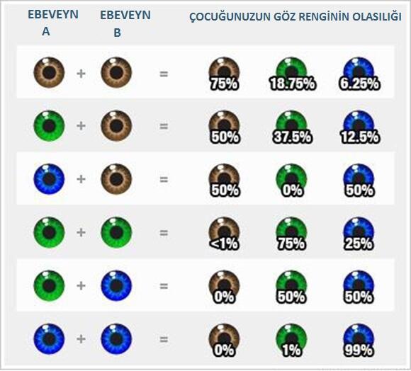 Eşimle benim gözlerimiz kahverengi oğlumuzun mavi?