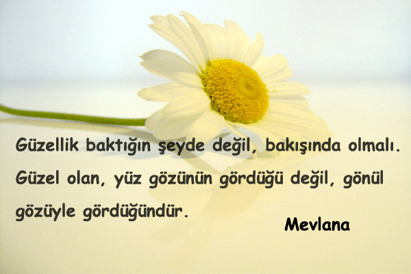 Güzel olmak için acı çekmek şart mı?