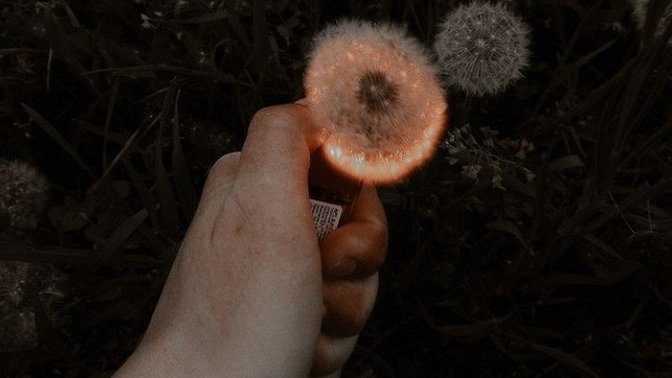 Sizden akıl mı alırlar, akıl mı verirler?