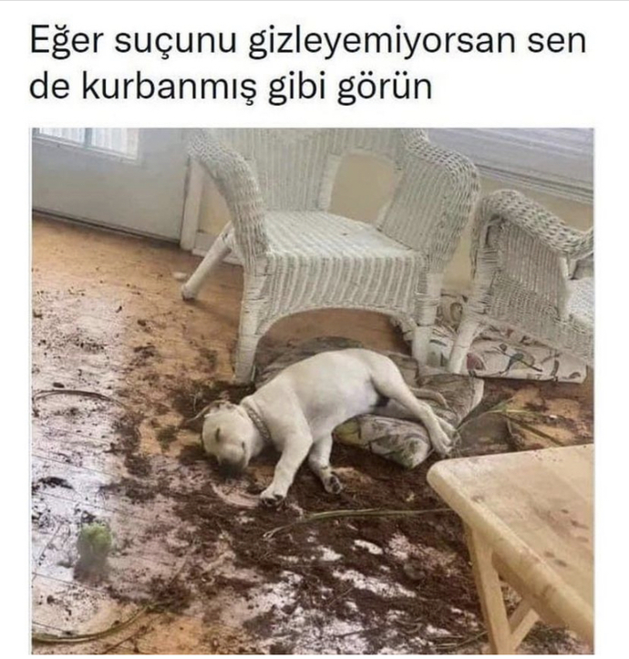 Yapmadığınız şeylerle suçlanınca nasıl başa çıkıyorsunuz?