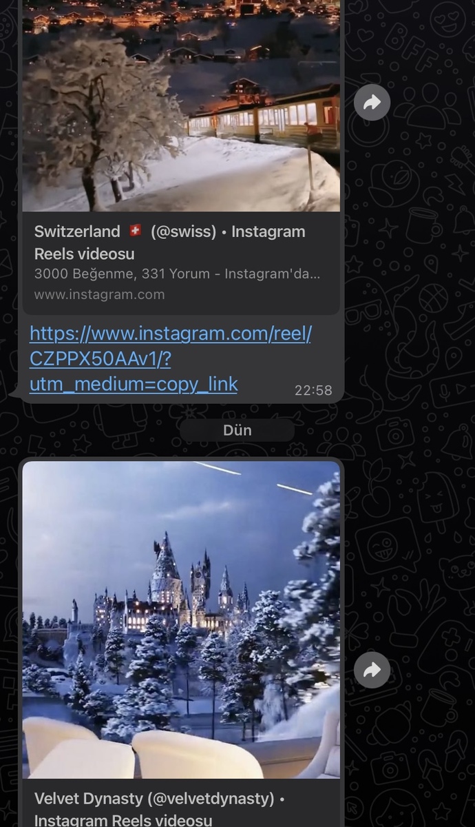 Sevgilimle 10 gün önce kötü ayrıldık. Şimdi bana doğa videoları atıyor, amacı ne bunun?