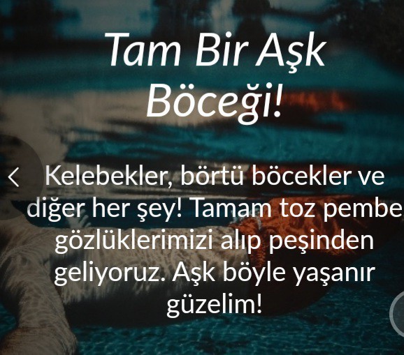 #AşıkOluncaBen testi seni bekliyor! Aşık olduğunda nasıl birine dönüşüyorsun🤓?