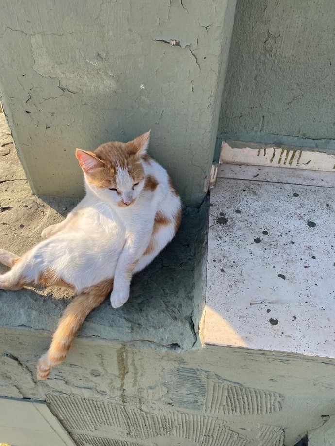 Evli olan eski sevgiliniz buluşma teklif etse görüşür müsünüz?