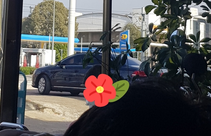 Bu arabayı o kadar beğendim ki hayalimdeki araba oldu, fiyatı ne kadar bunun?
