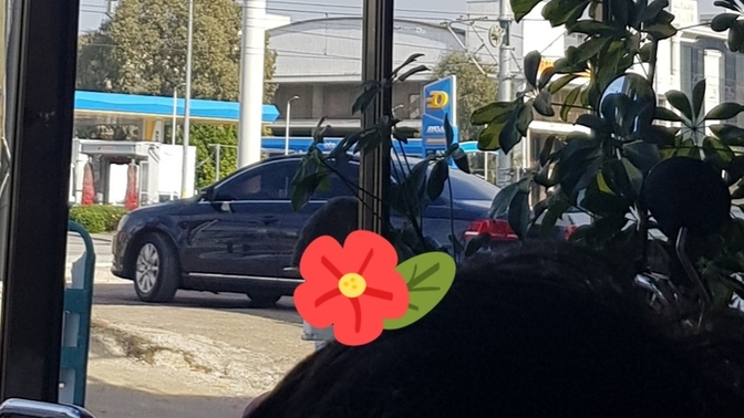 Bu arabayı o kadar beğendim ki hayalimdeki araba oldu, fiyatı ne kadar bunun?
