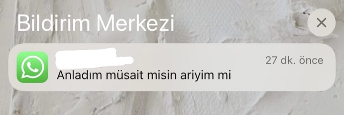 gerilim meşaşı s. s
