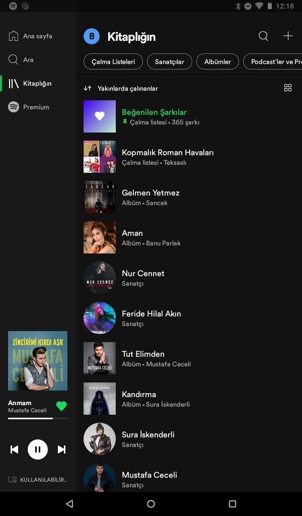 Spotifyde kaç şarkınız var?