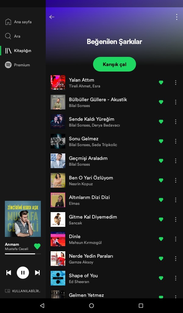 Spotifyde kaç şarkınız var?