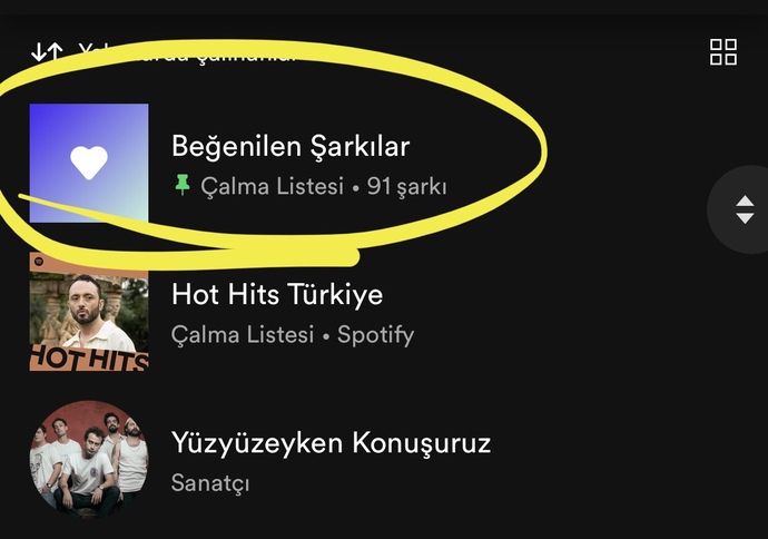 Spotify'de kaç şarkınız var?