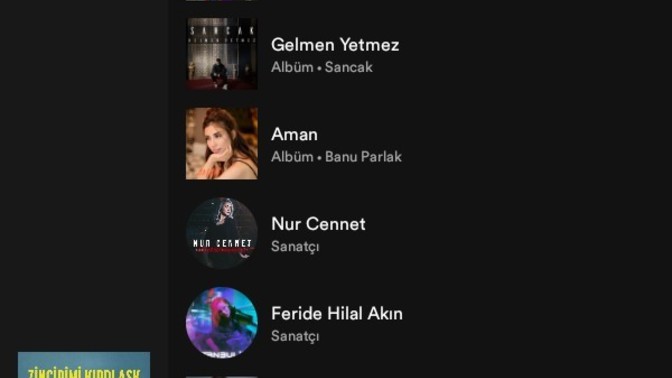 Spotify'de kaç şarkınız var?